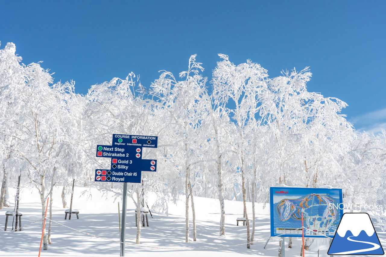 カムイスキーリンクス｜この上ないほど澄んだ青空と極上のパウダースノー。やっぱり『カムイ』は外れない！